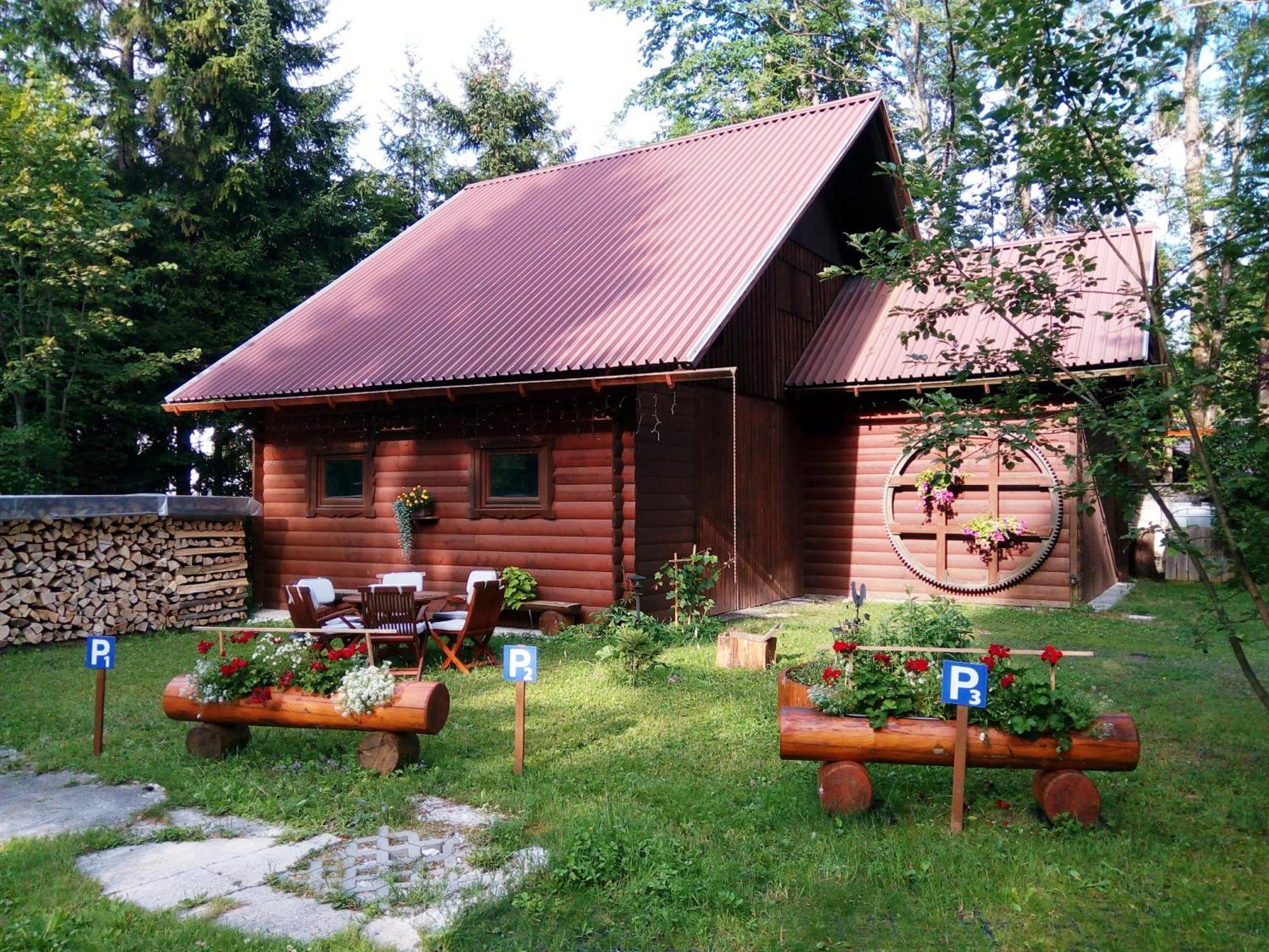 Farm Kosir Villa Кранска гора Екстериор снимка