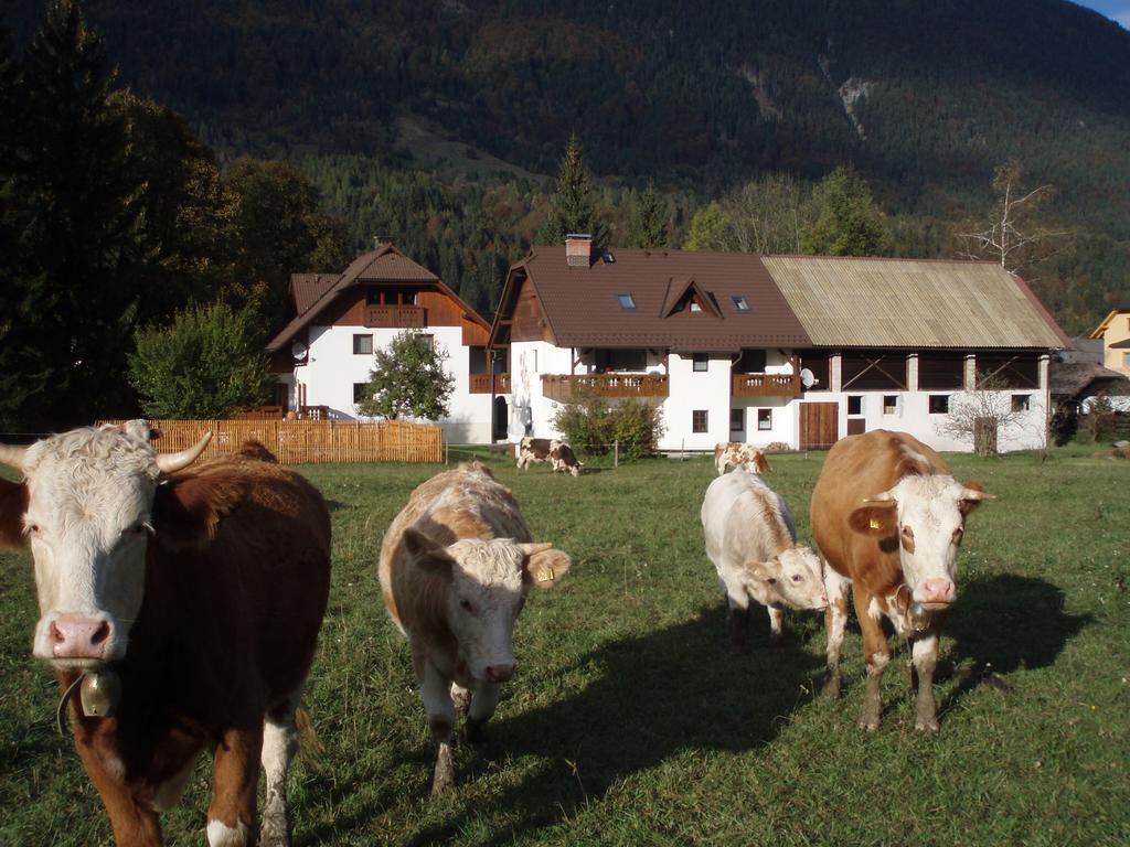 Farm Kosir Villa Кранска гора Екстериор снимка