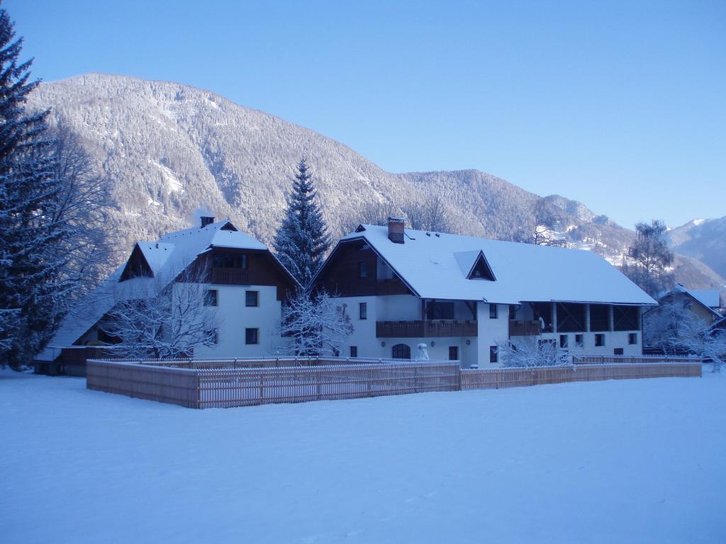 Farm Kosir Villa Кранска гора Екстериор снимка