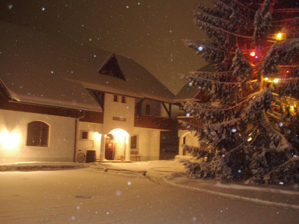 Farm Kosir Villa Кранска гора Екстериор снимка
