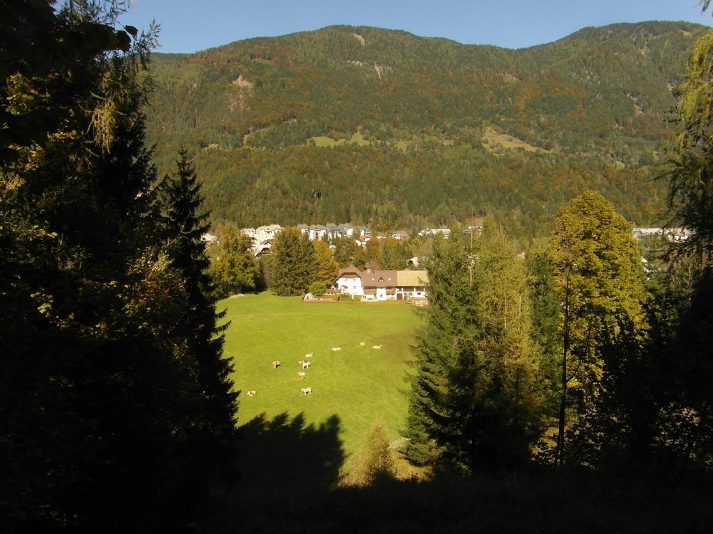 Farm Kosir Villa Кранска гора Екстериор снимка