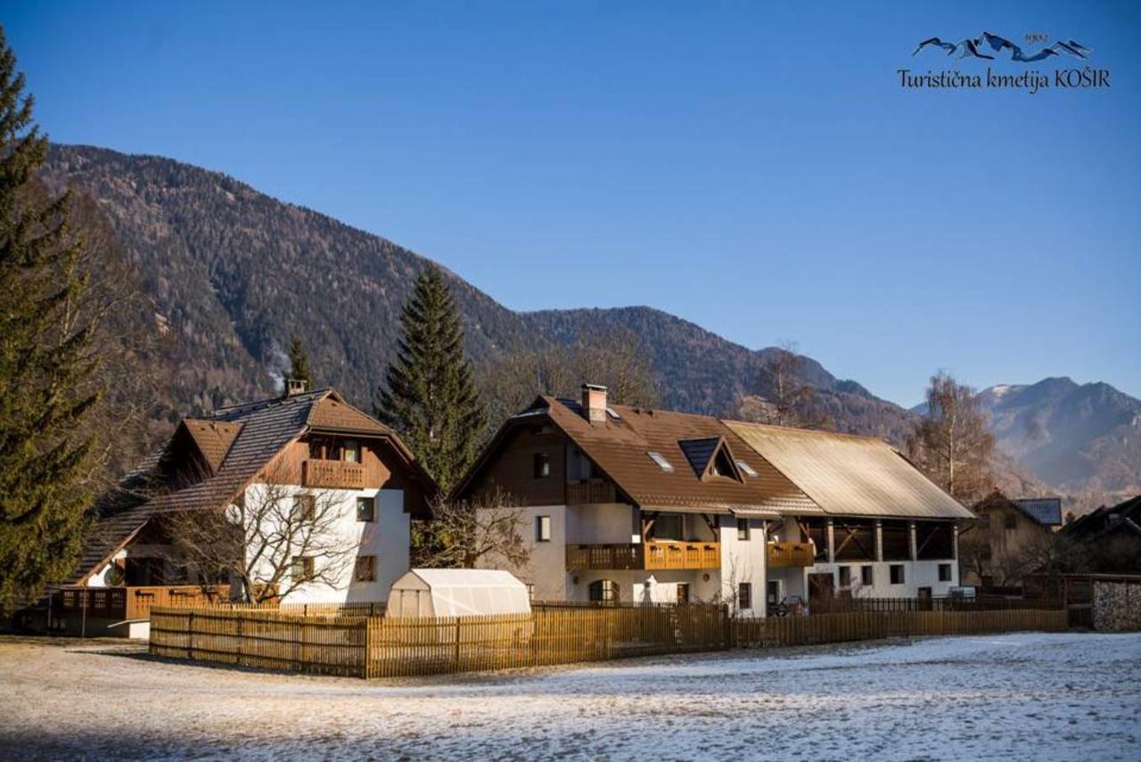 Farm Kosir Villa Кранска гора Екстериор снимка
